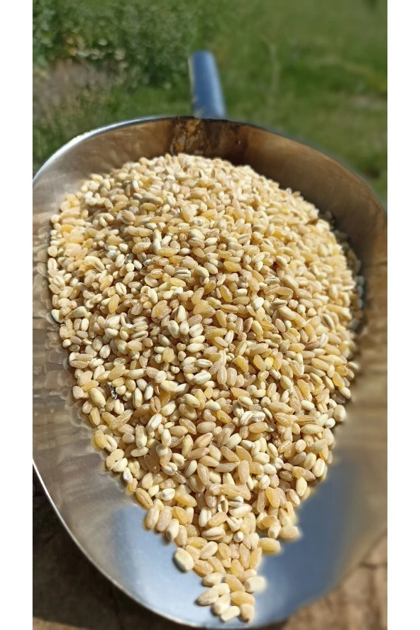 ŞENLER - Dövme (Yarma) Buğday - 1 Kg - Resim 2