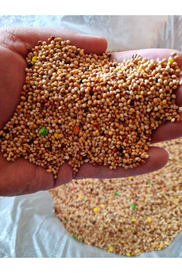 Muhabbet Kuşu Yemi Vitaminli Meyveli 3.5 Kg ürün görseli 1