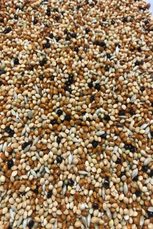 Karışık Muhabbet Kuşu Yemi 5 Kg Yeni Mahsul ürün görseli 1
