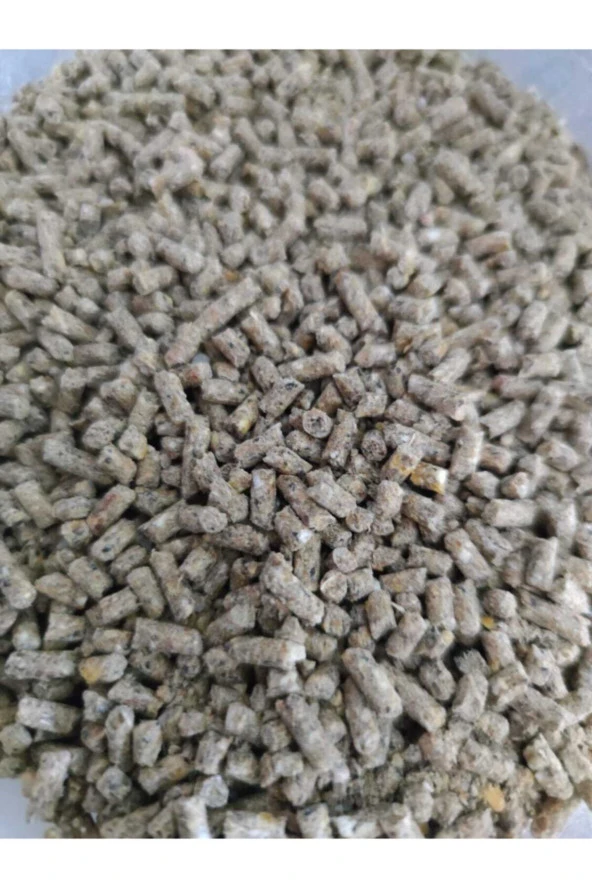 Gezen Tavuk Yumurta Yemi Pelet 5 Kg ürün görseli 1