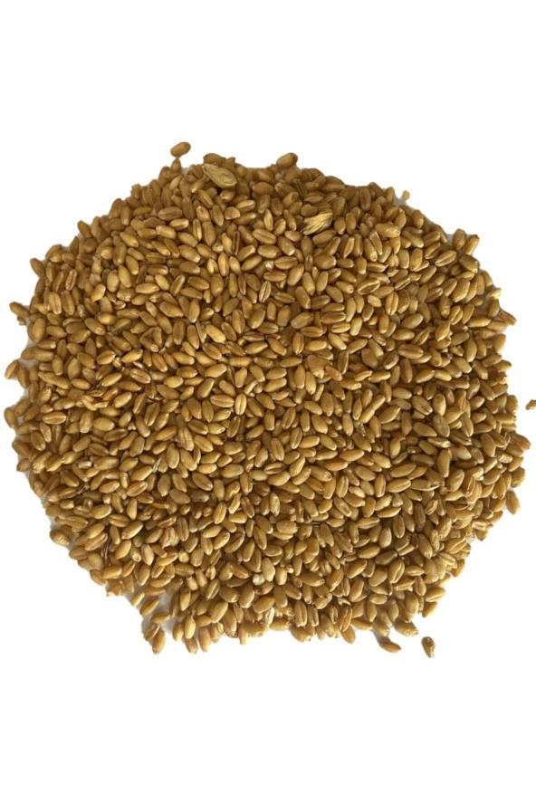 Şenler Zahire - Yemlik Buğday 15 Kg -Kuş-Tavuk-Kaz-Ördek-Güvercin Kanatlı Yemi ürün görseli 1