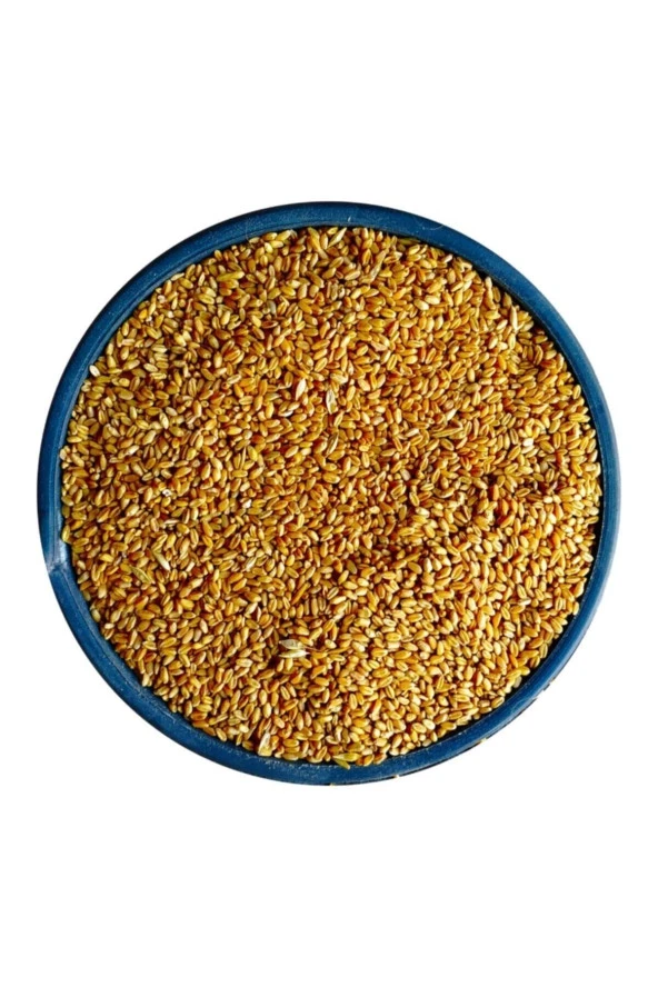 Şenler Zahire - Yemlik Elenmiş Buğday - 25 Kg (Tavuk, Piliç, Hindi, Ördek, Güvercin, Kaz ) ürün görseli 1