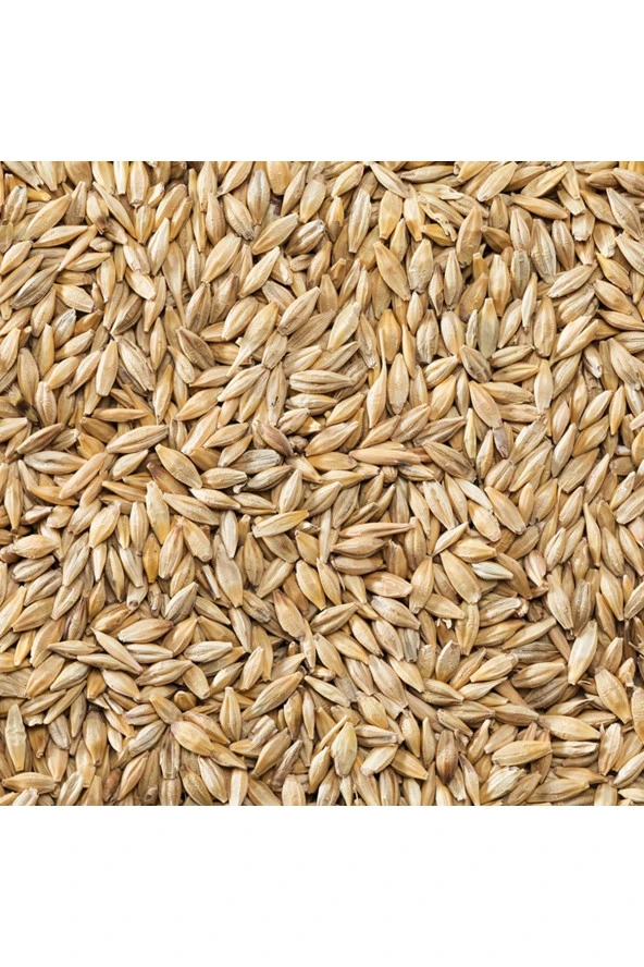 Şenler Zahire - Bütün Arpa 50 Kg ürün görseli 1
