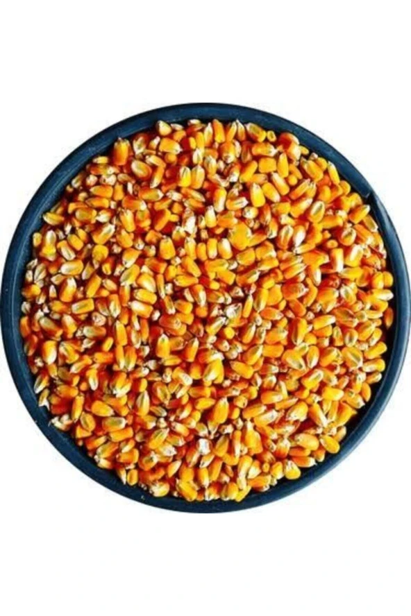Şenler Zahire  - Yemlik Mısır 3 Kg ürün görseli 1