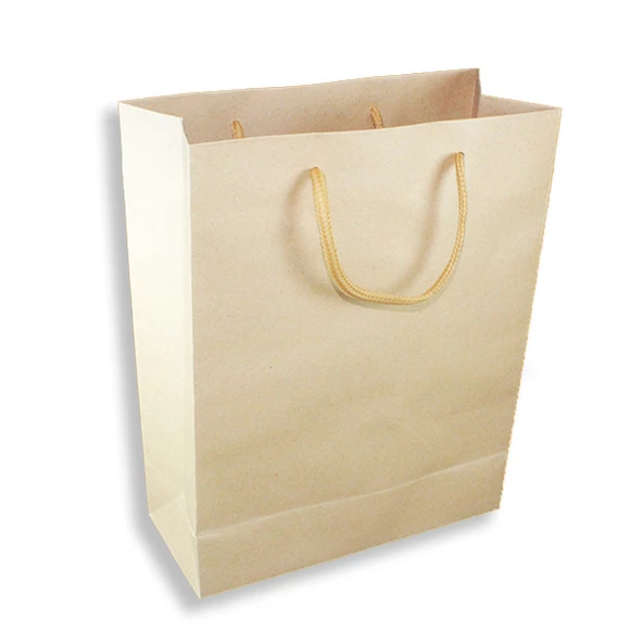 12 Adet 19x24cm Adet Kraft Karton Hediyelik Çanta ürün görseli 1