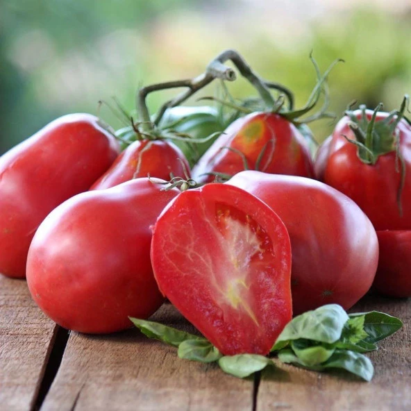 İtalian Red Pear Domates Tohumu(15 tohum) ürün görseli 1