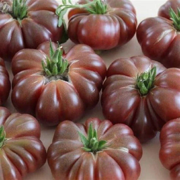 Calabash Domates Tohumu (15 tohum) ürün görseli 1