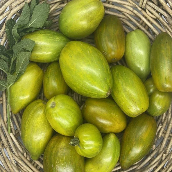 Dwarf Saucy Mary Domates Tohumu (15 tohum) ürün görseli 1