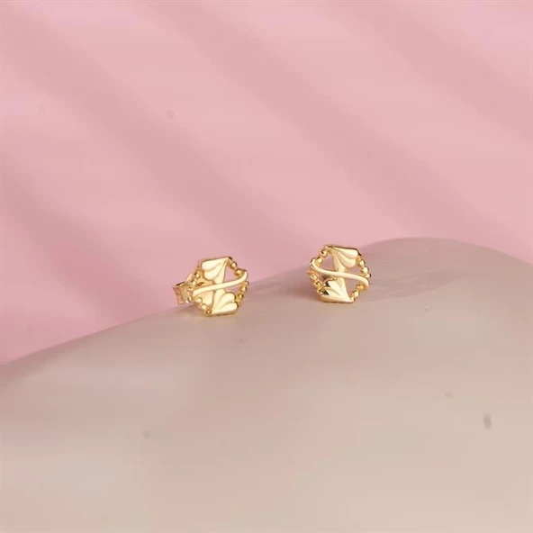 14 Ayar Altın Modern Küpe 1,31 gr ürün görseli 1