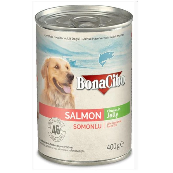 Bonacibo Jöleli Somonlu Yaş Yetişkin Köpek Maması 400 GR ürün görseli 1