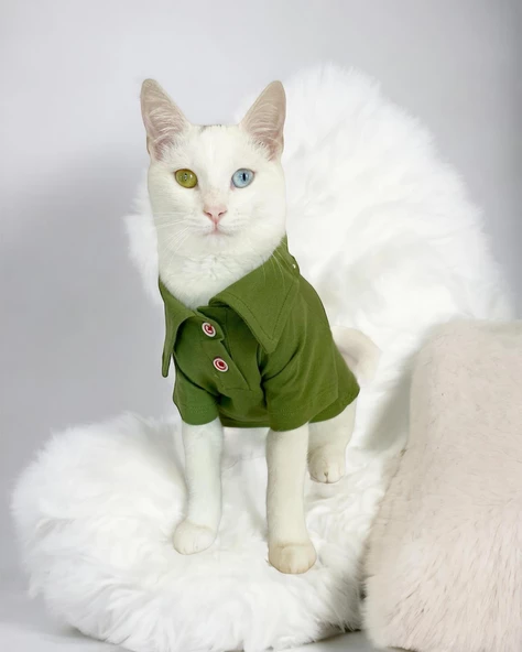 Grass Green Kedi Gömleği Kedi Kıyafeti  Kedi Elbisesi ürün görseli 1