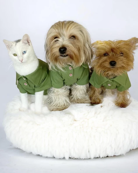Grass Green Köpek Gömleği Köpek Kıyafeti Köpek Elbisesi ürün görseli 1