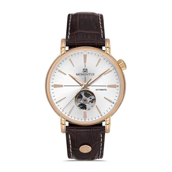 Momentus Men's Time Masters TM349R-02BR Erkek Kol Saati ürün görseli 1