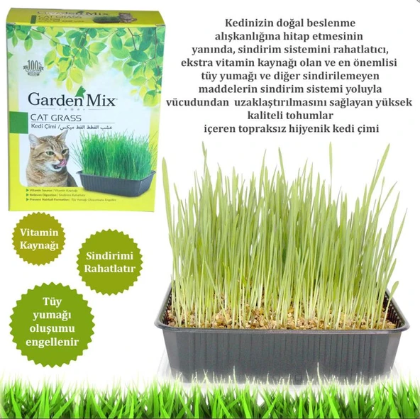 Gardenmix Kedi Çimi - Resim 2