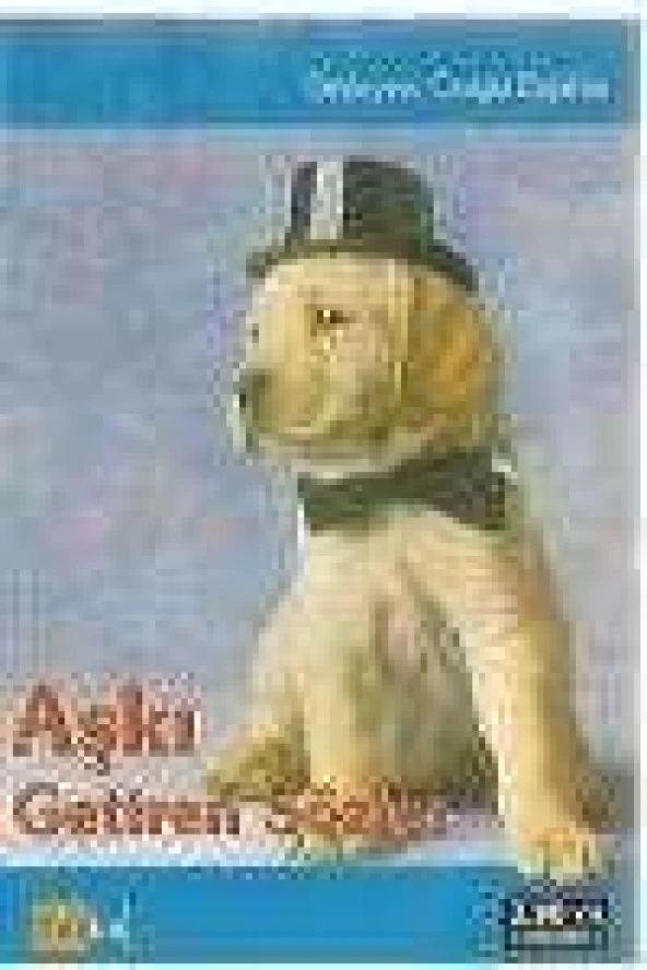 AŞKI GETİREN SÖZLER ürün görseli 1