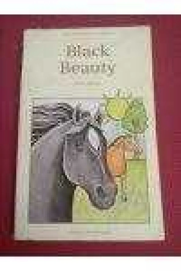 BLACK BEAUTY ürün görseli 1
