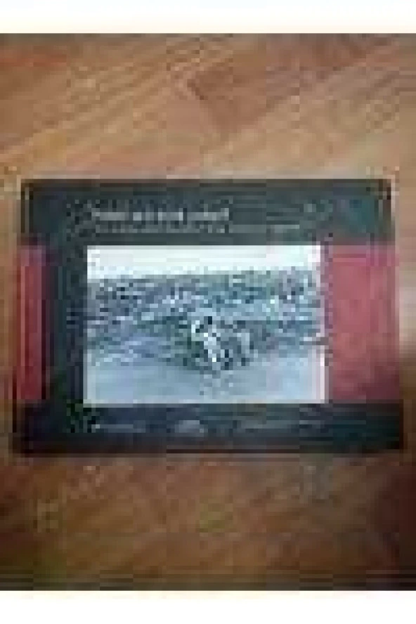 Faster and more united?: the debate about Europe's crisis response capacity ürün görseli 1