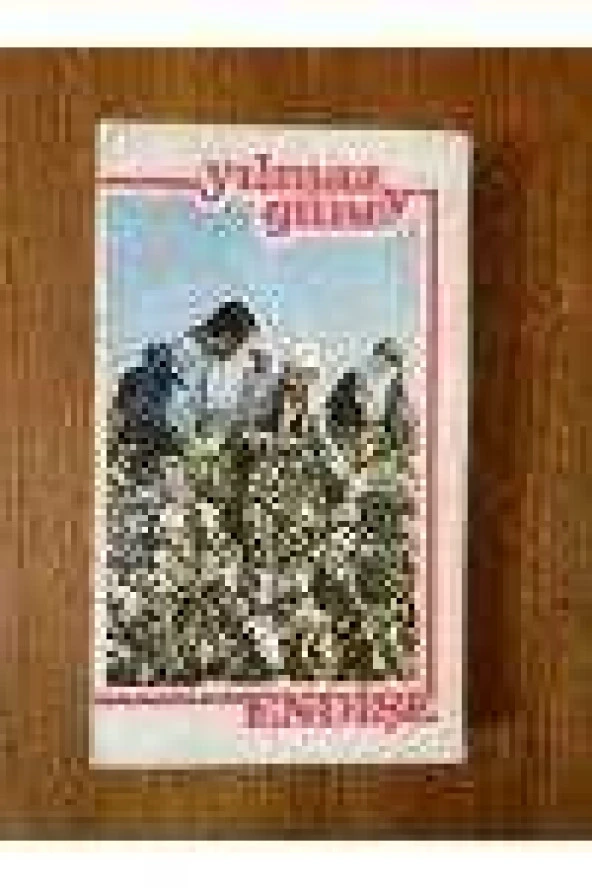 ENDİŞE   /  YILMAZ  GÜNEY   : Günlük Notları, Ön Araştırma, Hikayesi, Senaryo  ( Birinci Baskı  ) ürün görseli 1