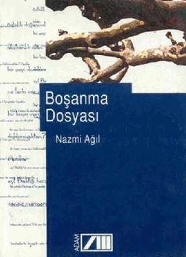 BOŞANMA DOSYASI   /  Birinci Baskı ürün görseli 1