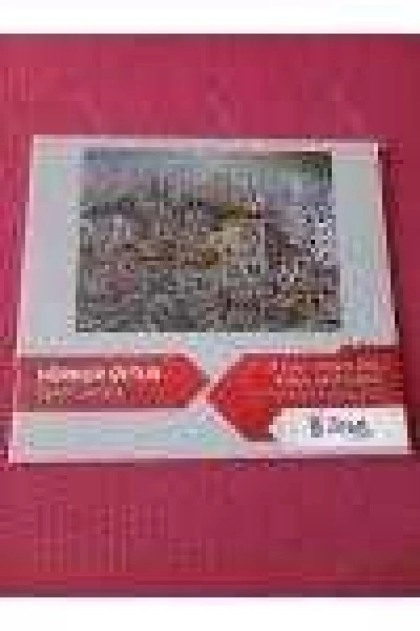HÜRNUR  OYTUN   *    RESİM SERGİSİ  /  29  EYLÜL - 10  EKİM   2014  *  KUĞULU SANAT GALERİSİ ürün görseli 1