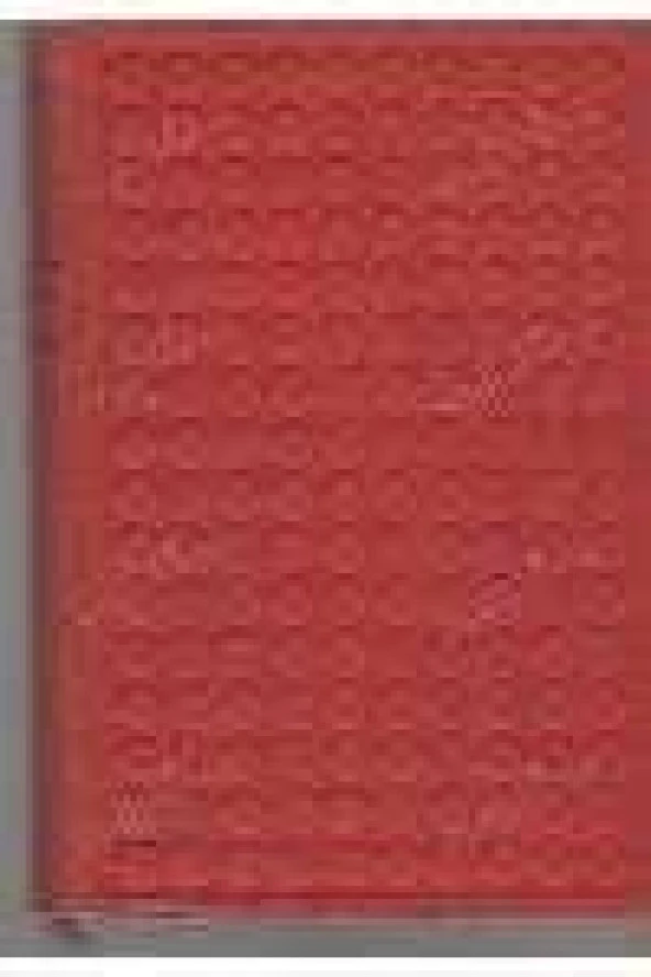 ELE GEÇMEZ   /   ANJELİK   ( CİLT: III ) ürün görseli 1