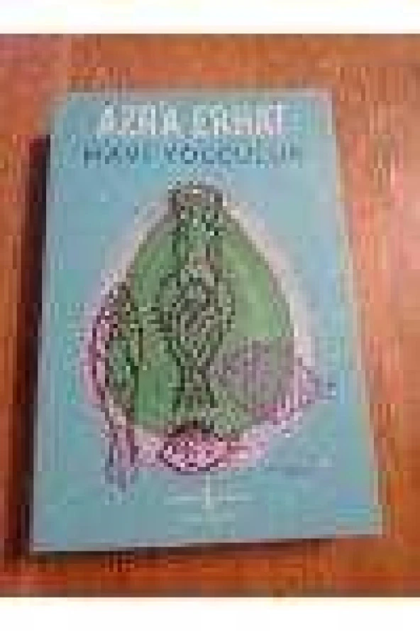 MAVİ YOLCULUK ürün görseli 1