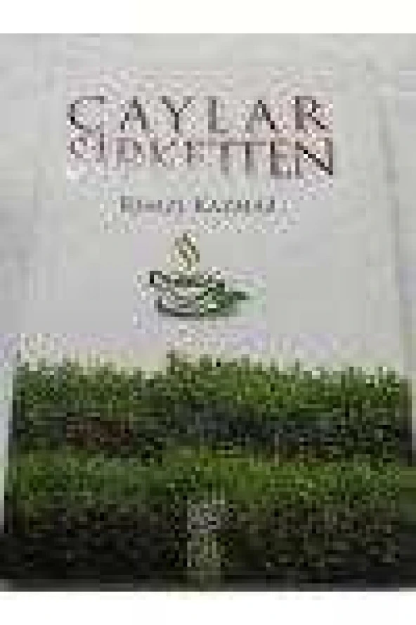 ÇAYLAR ŞİRKETTEN   /   İmzalı ve İthaflı  *  Birinci Baskı ürün görseli 1
