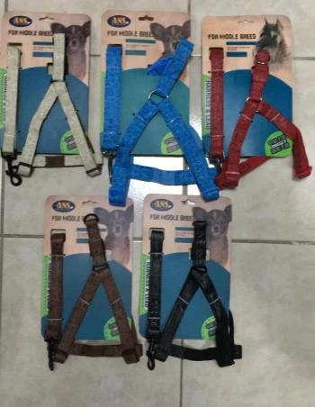 ANS Middle Breed Medium Köpek Göğüs Takım Tasması Deri 5-9 Kg Olan Köpeklere ürün görseli 1