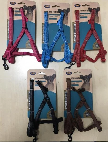 ANS Middle Breed Mini Köpek Göğüs Tasması Deri Takım 2-4 Kg Olan Köpeklere ürün görseli 1