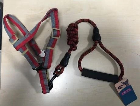 ANS Fosforlu Köpek Yumuşak Bel Tasması Takım Kırmızı Gri 15-25 Kg Köpeklere ürün görseli 1