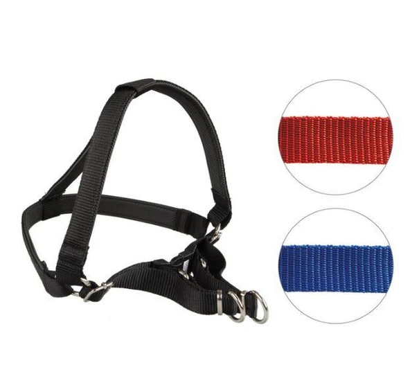 Oripet Tasma Yumuşak Dokulu Köpek Bel Tasması No:0 1-3Kg Köpeklere ürün görseli 1