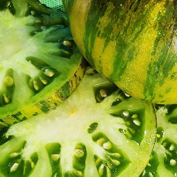 Xanadu Green Goddess Domates Tohumu (15 tohum) ürün görseli 1