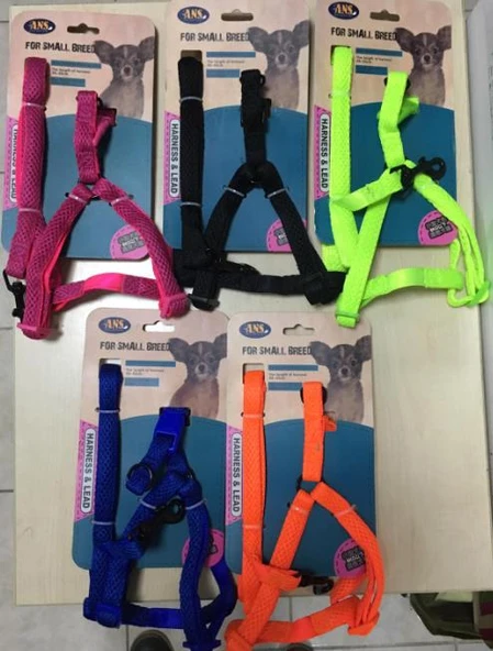 ANS Middle Breed Small Yumuşak Köpek Göğüs Tasması Deri Takım 4-6 Kg Olan Köpeklere ürün görseli 1