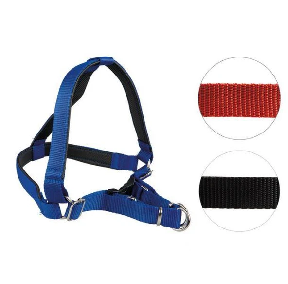 Oripet Tasma Yumuşak Dokulu Köpek Bel Tasması No:3 7-13Kg Köpeklere ürün görseli 1