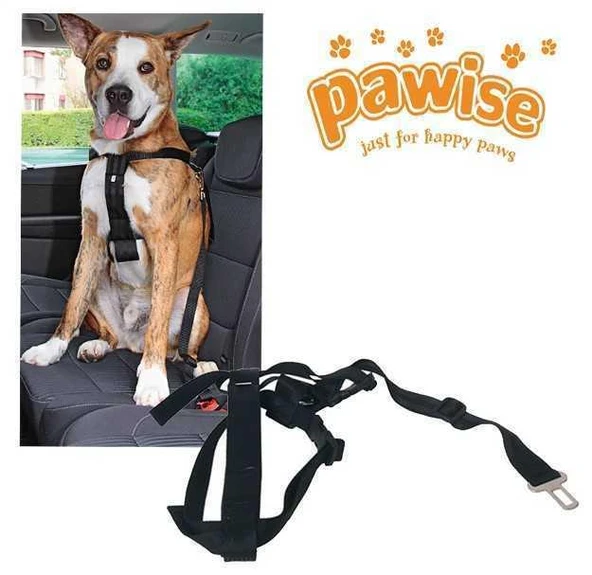 Pawise Emnyet Kemer Tokalı Tasma S 30-60 Cm ürün görseli 1