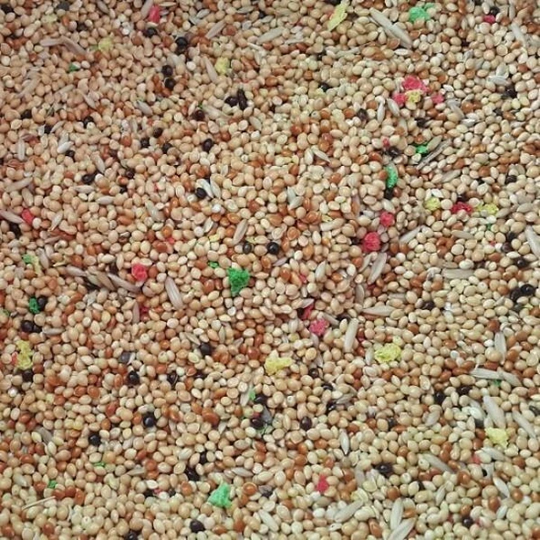 Karışık Muhabbet Kuşu Yemi 1 Kg AÇIK ürün görseli 1