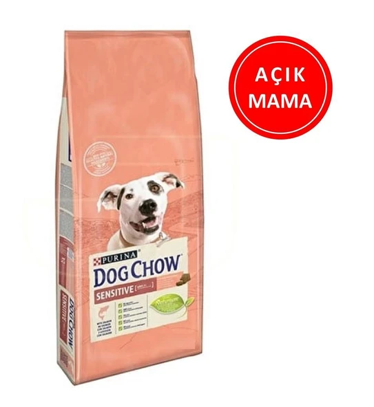 Purina Dog Chow Somonlu Hassas Köpek Maması 1 KG AÇIK ürün görseli 1