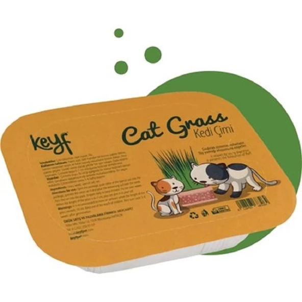 Keyf Fileli Kedi Çimi ürün görseli 1