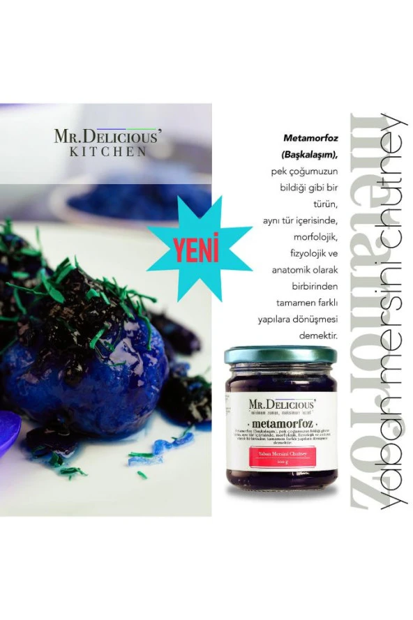 Yaban Mersini Chutney - Resim 3