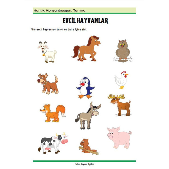 Beyin Egzersizleri Kitap Seti (2 Kitap) - Resim 6