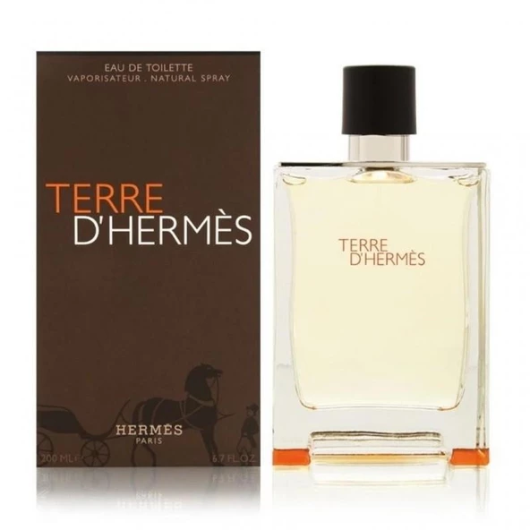 Hermes Terre D'Hermes EDT 200 ml Erkek Parfüm ürün görseli 1