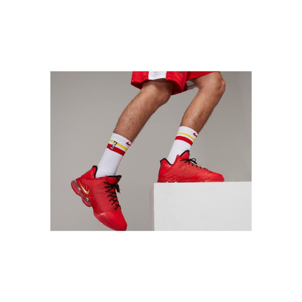 Nike Lebron 19 Low Xıx Erkek Basketbol Ayakkabısı DO9829-600 ürün görseli 1
