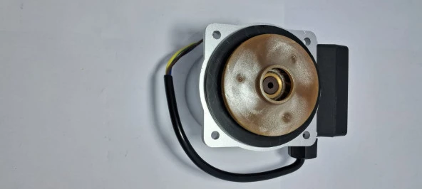 SP06DNW SİRKÜLASYON POM TOTOLİNE WİLO TİP 15-5 - Resim 2