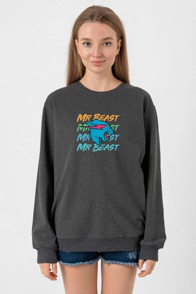 Mr Beast Lettern Füme Kadın 2ip Sweatshirt ürün görseli 1