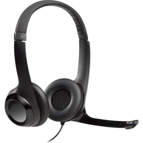 Logitech H390 USB Gürültü Önleyici Mikrofonlu Kulaklık - Siyah ürün görseli 1