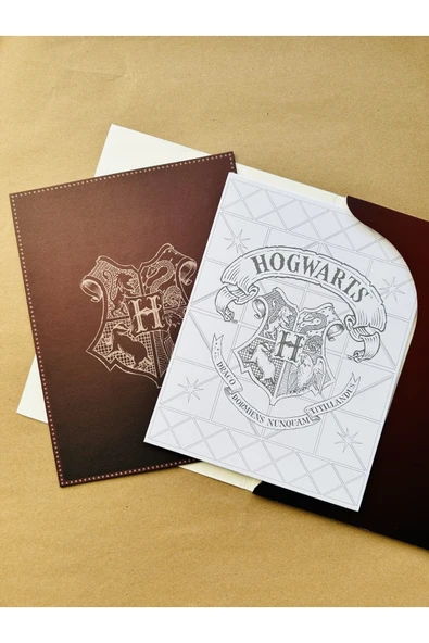 Harry Potter Poster Boyama Koleksiyonu - Resim 2