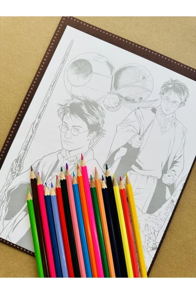 Harry Potter Poster Boyama Koleksiyonu - Resim 6