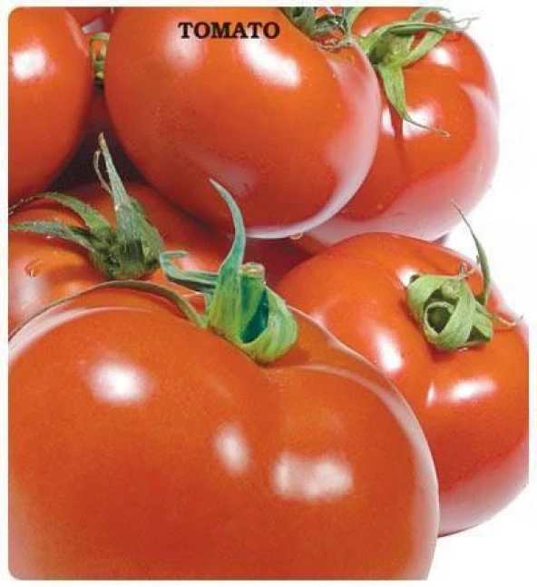 SC-2121 Domates Tohumu (2 gram) ürün görseli 1