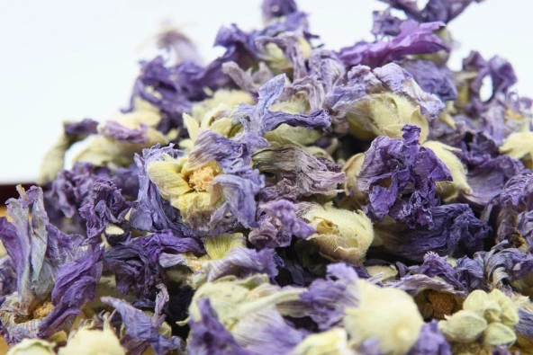 BUHARA HATMİ ÇİÇEĞİ 1000 GR - Resim 2