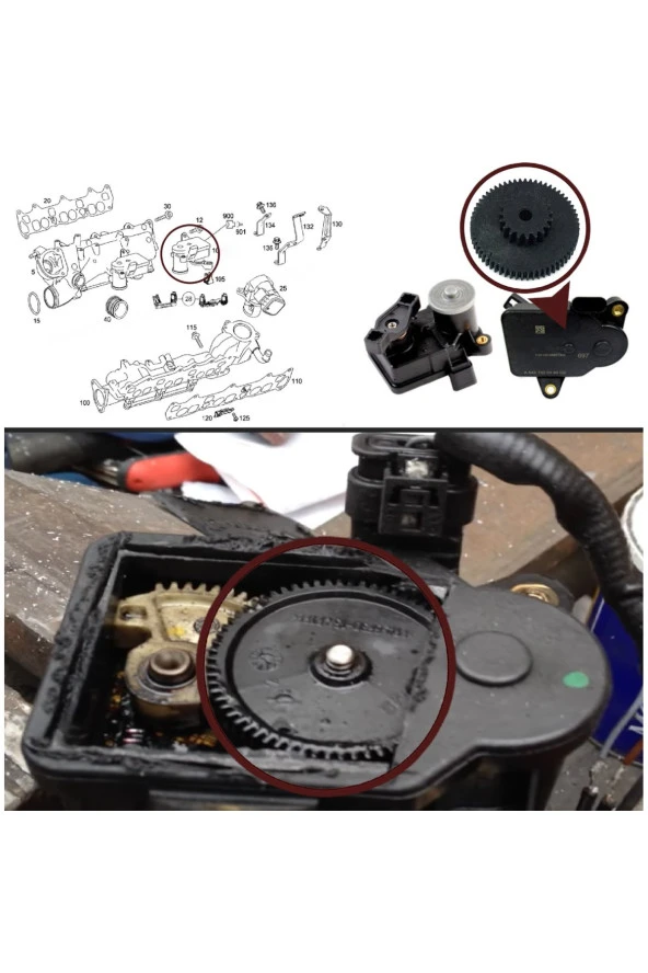 AUDI A6 Egr Dişlisi Çap 110mm 1 Adet ürün görseli 1
